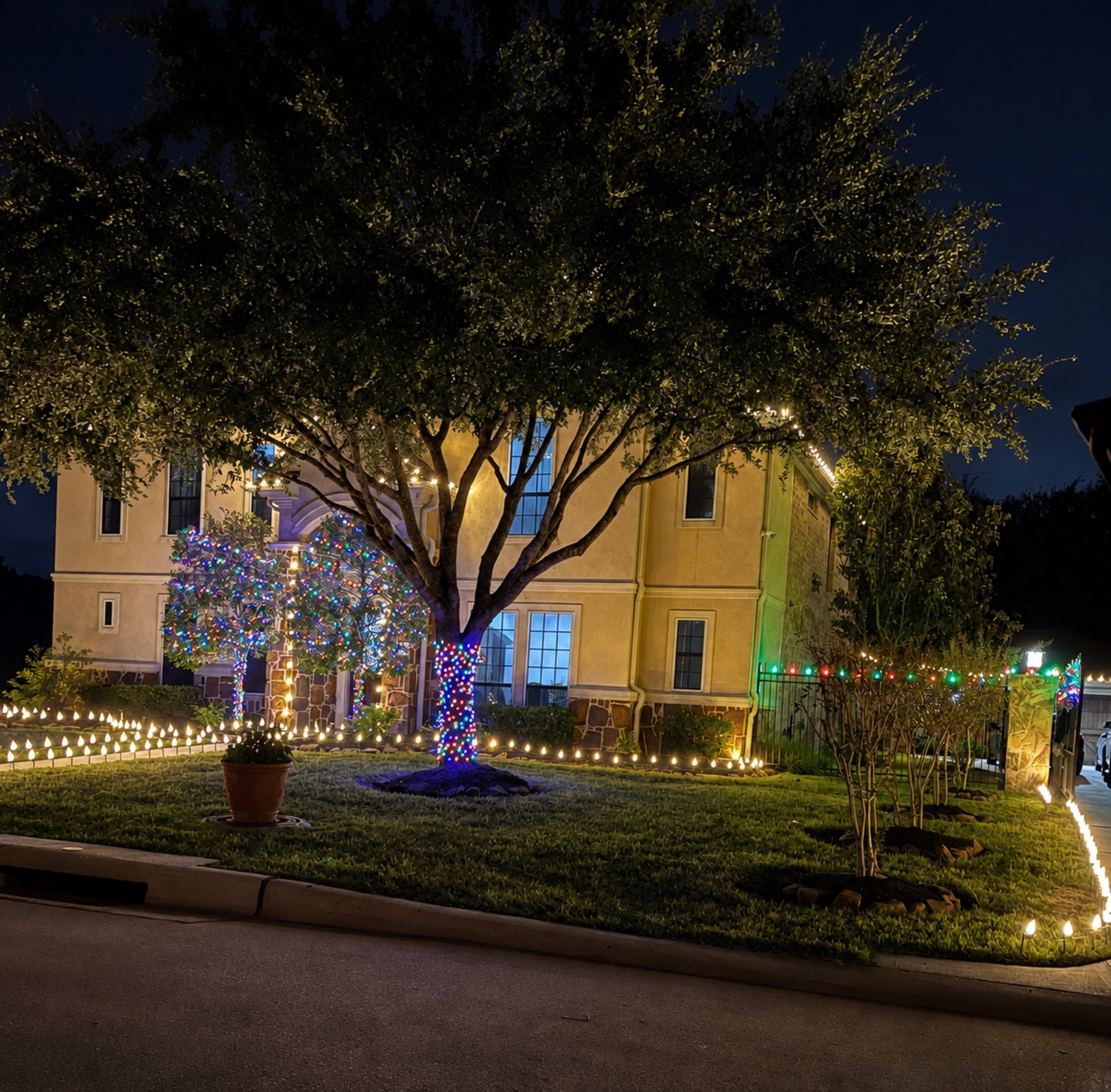 Front yard with trees wrapped in multicolor Christmas lights, bordered by warm white pathway lights.